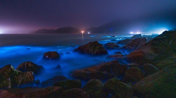 POTRET: Indahnya Pantai di China Bercahaya Bak Lampu Neon-Image-4