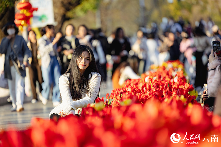 POTRET Ratusan Ribu Tulip Mekar di Kunming-Image-5