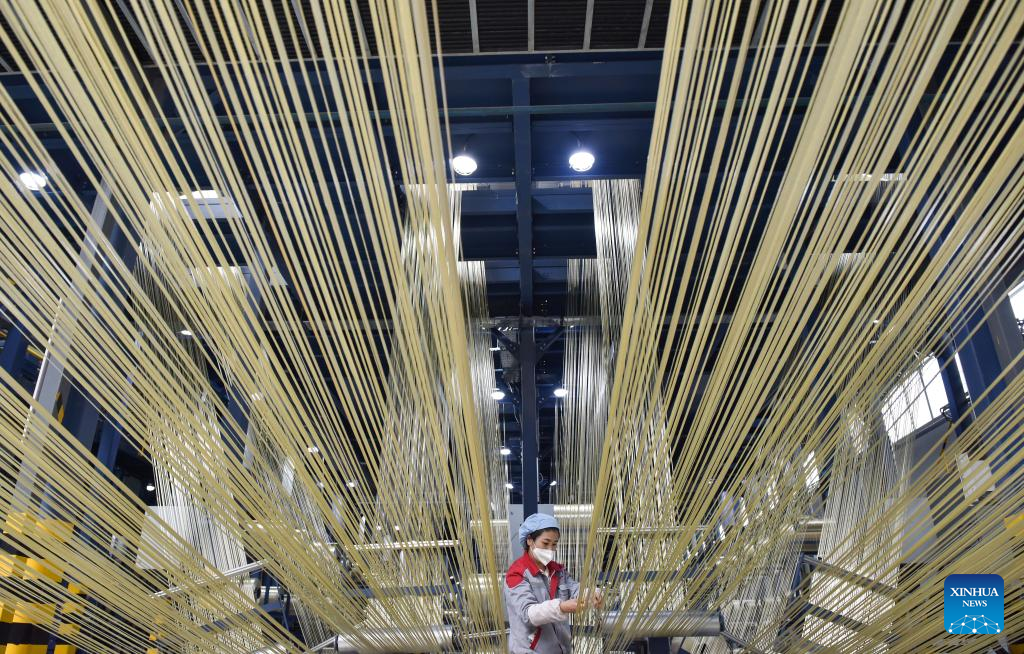 POTRET Industrik Serat Optik di Xining-Image-2
