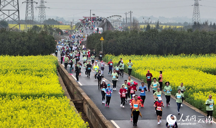 Potret Maraton Lewat Kebun Bunga Rapeseed di Qujing-Image-4