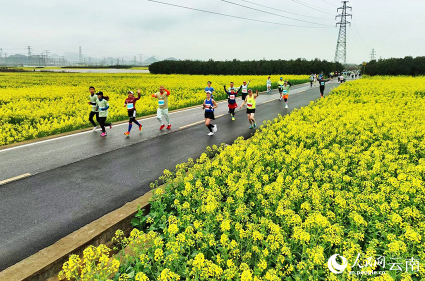 Potret Maraton Lewat Kebun Bunga Rapeseed di Qujing-Image-2