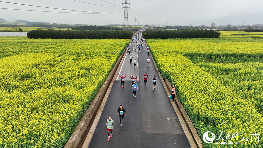 Potret Maraton Lewat Kebun Bunga Rapeseed di Qujing-Image-6