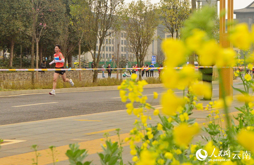 Potret Maraton Lewat Kebun Bunga Rapeseed di Qujing-Image-5