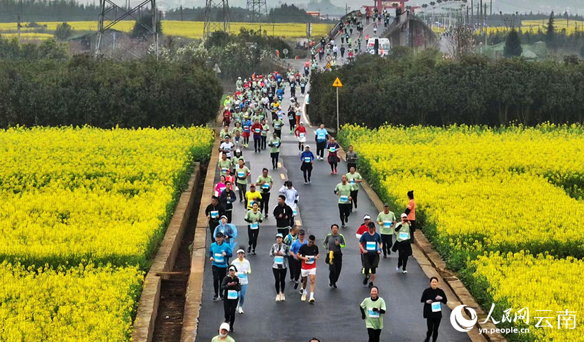 Potret Maraton Lewat Kebun Bunga Rapeseed di Qujing-Image-7
