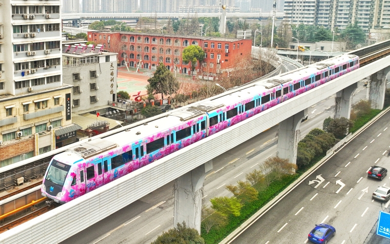 Kereta Metro Tema Bunga Sakura Debut di Wuhan-Image-5