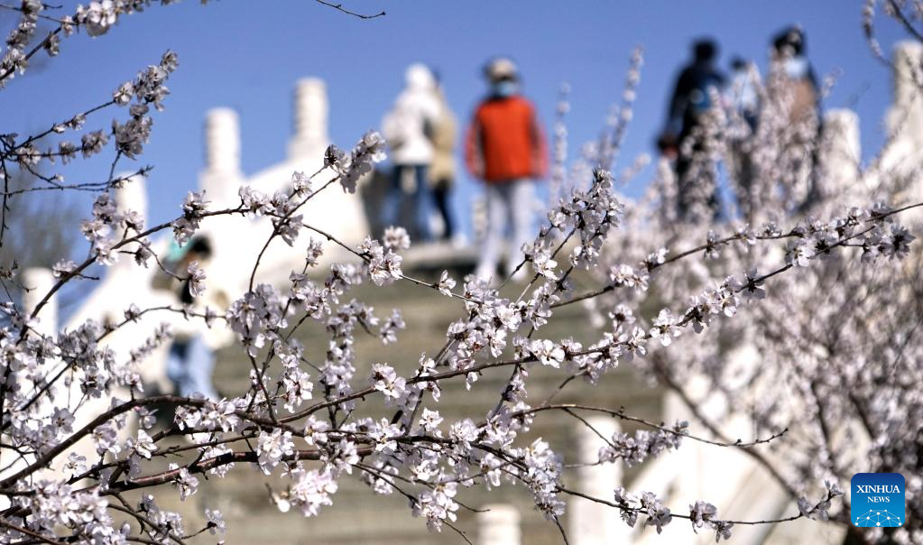 Pemandangan Istana Musim Panas di Beijing-Image-7
