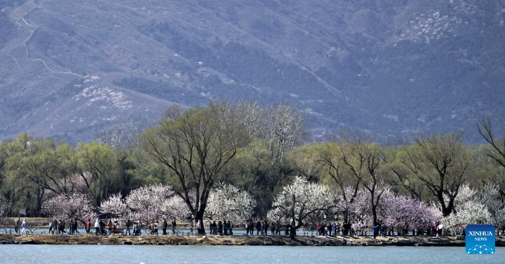 Pemandangan Istana Musim Panas di Beijing-Image-5