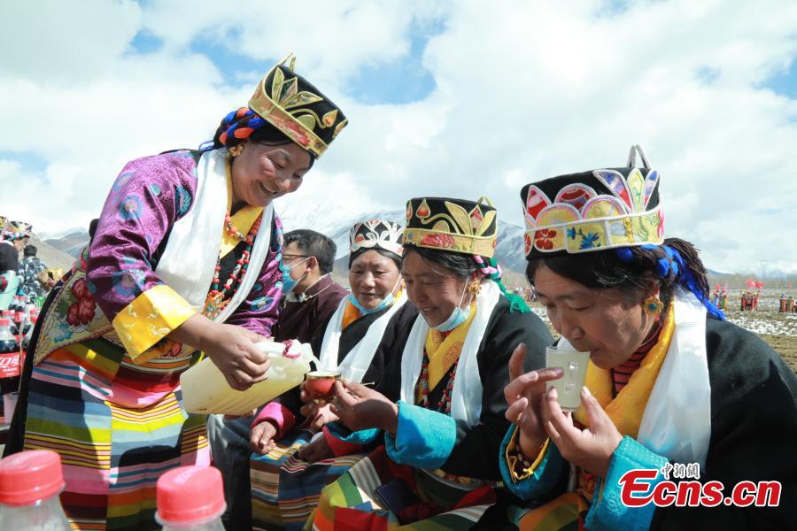 Warga Lhasa Rayakan Musim Membajak Sawah-Image-3