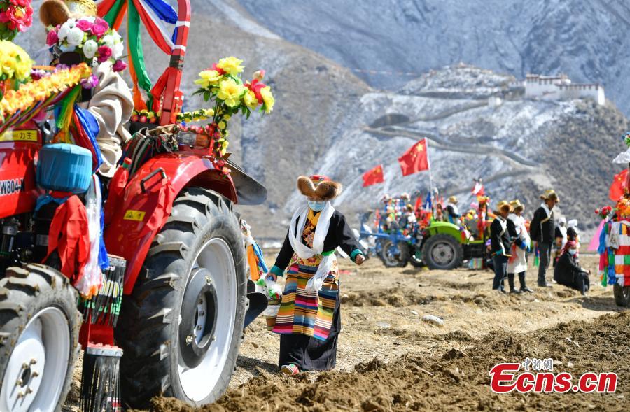 Warga Lhasa Rayakan Musim Membajak Sawah-Image-1