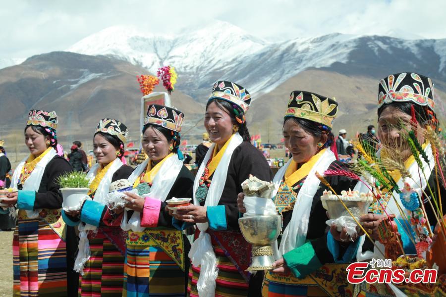 Warga Lhasa Rayakan Musim Membajak Sawah-Image-7