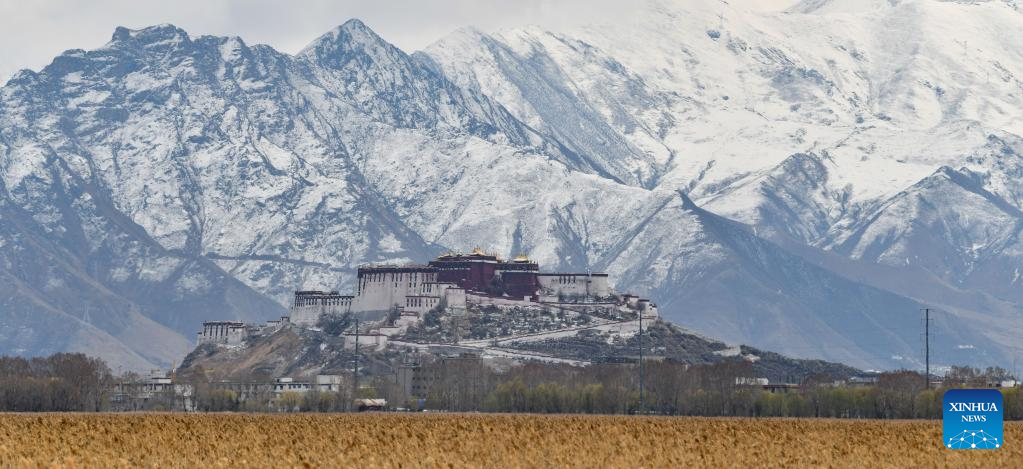 POTRET Pemandangan Istana Potala Saat Bersalju-Image-7