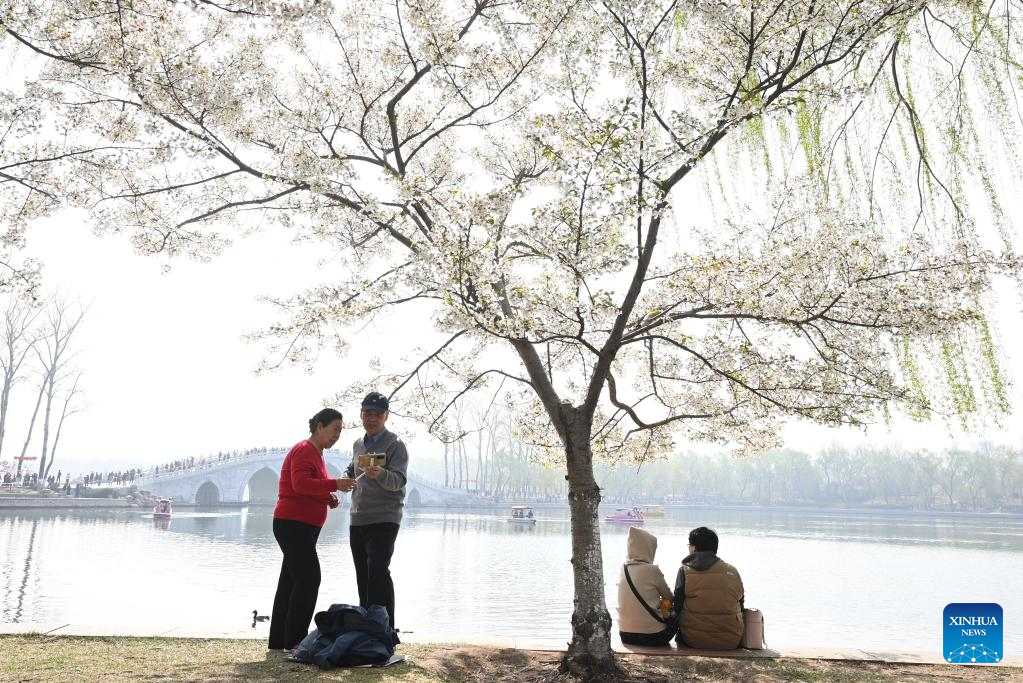 POTRET Turis Riuh Tonton Bunga Sakura di Taman Yuyuantan-Image-2