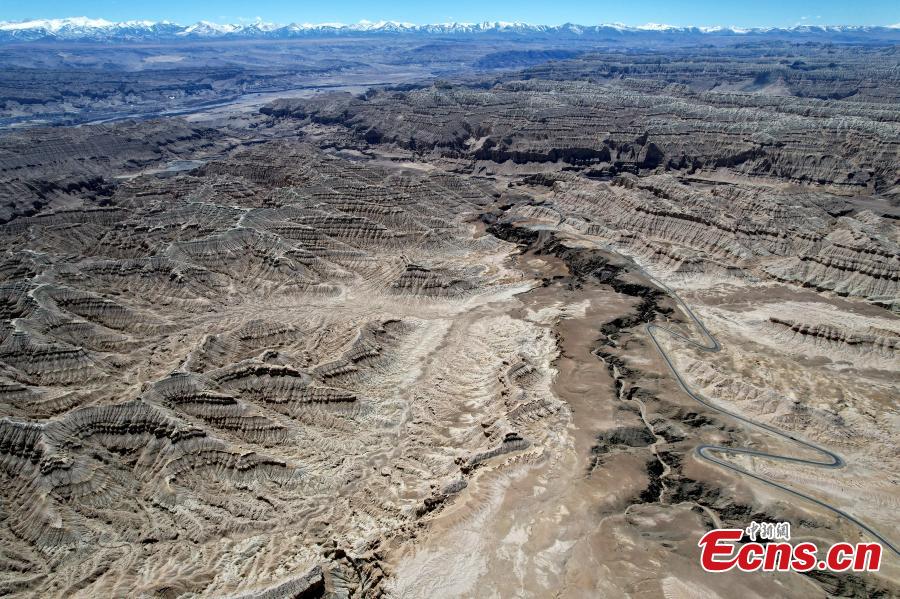 Pemandangan Unik 'Hutan Tanah' di Tibet-Image-5