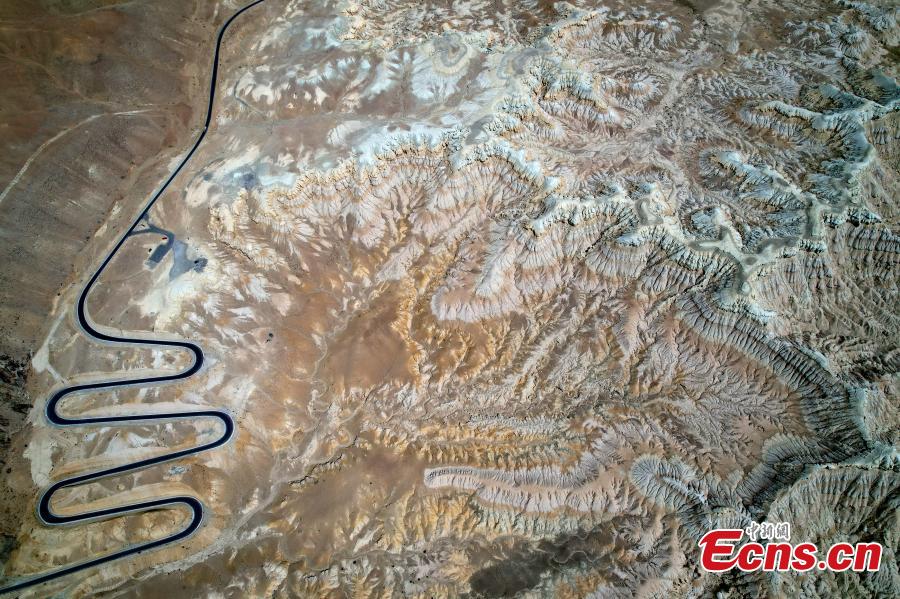 Pemandangan Unik 'Hutan Tanah' di Tibet-Image-2