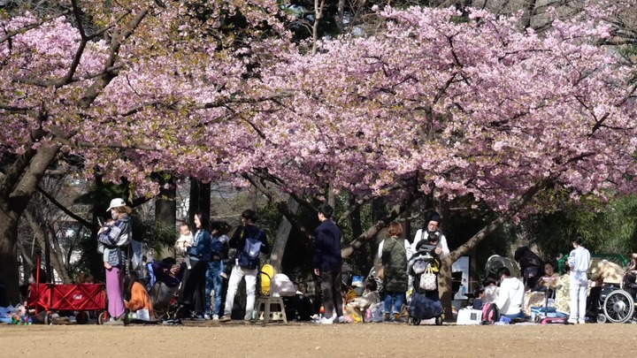 Survei: Separuh warga lajang di bawah 30 tahun di Jepang tak ingin punya anak-Image-1