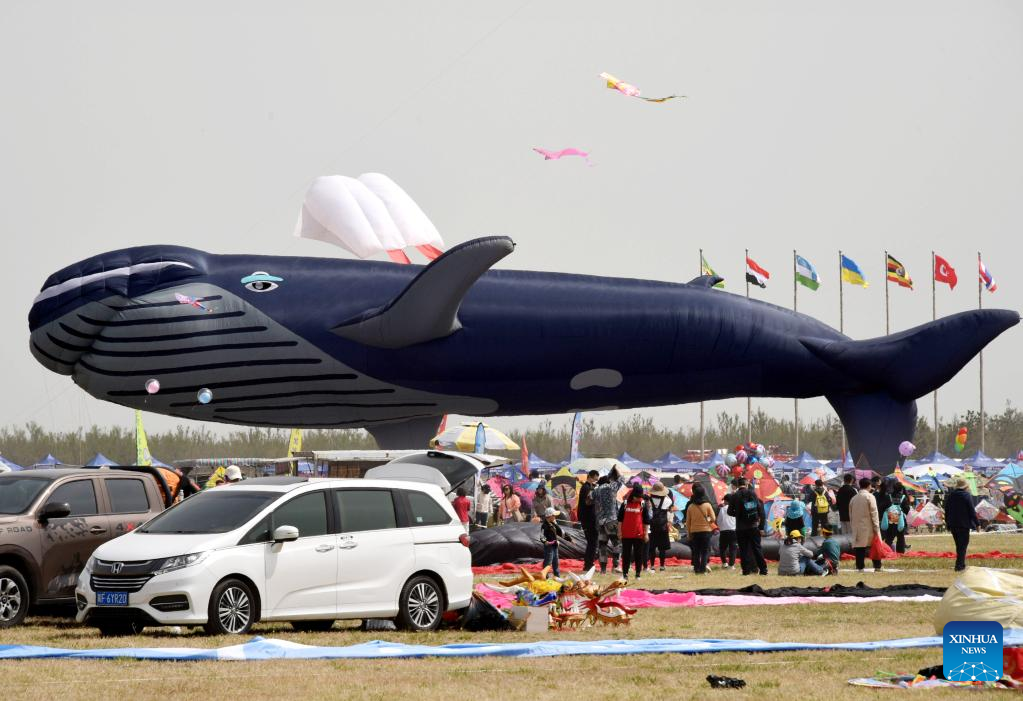 POTRET Weifang Int'l Kite Festival Dimulai-Image-3