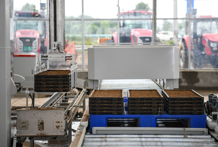 CHINA-SICHUAN-MEISHAN-PERTANIAN PADI CERDAS-2-Image-1