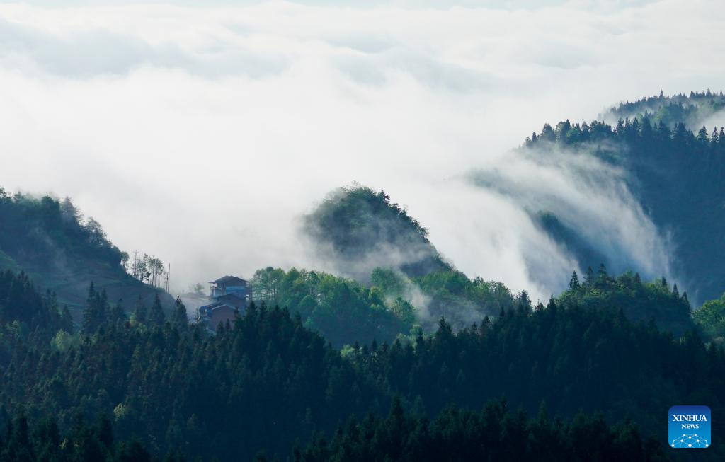 Pemandangan Lautan Awan di Gunung Jinfo-Image-8