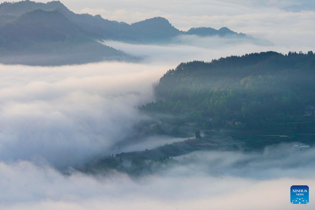 Pemandangan Lautan Awan di Gunung Jinfo-Image-5
