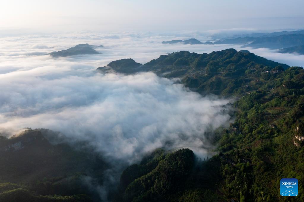 Pemandangan Lautan Awan di Gunung Jinfo-Image-4