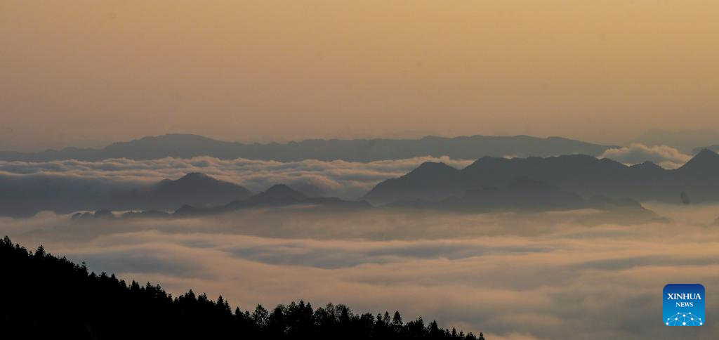 Pemandangan Lautan Awan di Gunung Jinfo-Image-2