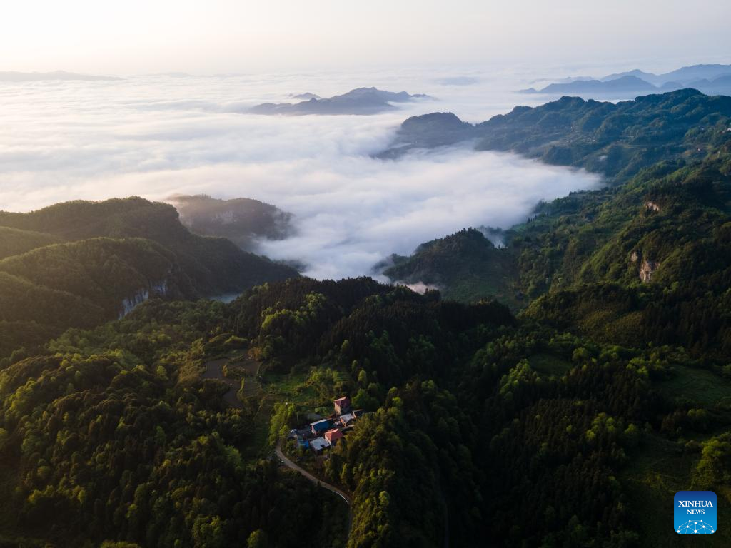 Pemandangan Lautan Awan di Gunung Jinfo-Image-11