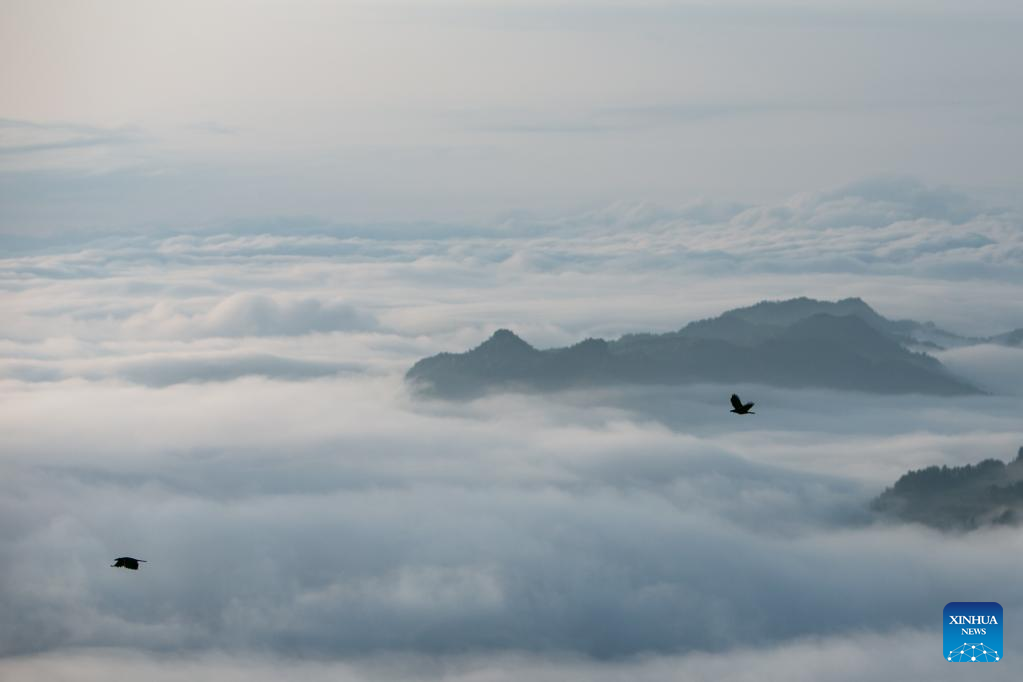 Pemandangan Lautan Awan di Gunung Jinfo-Image-9