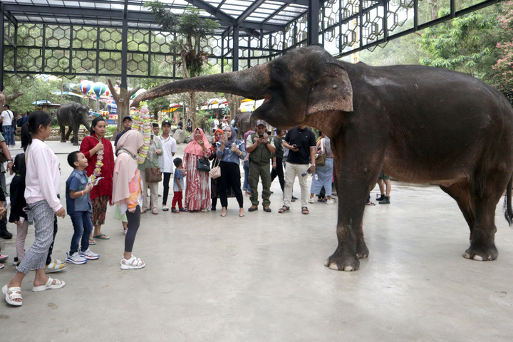 INDONESIA-BOGOR-TAMAN SAFARI-1-Image-1