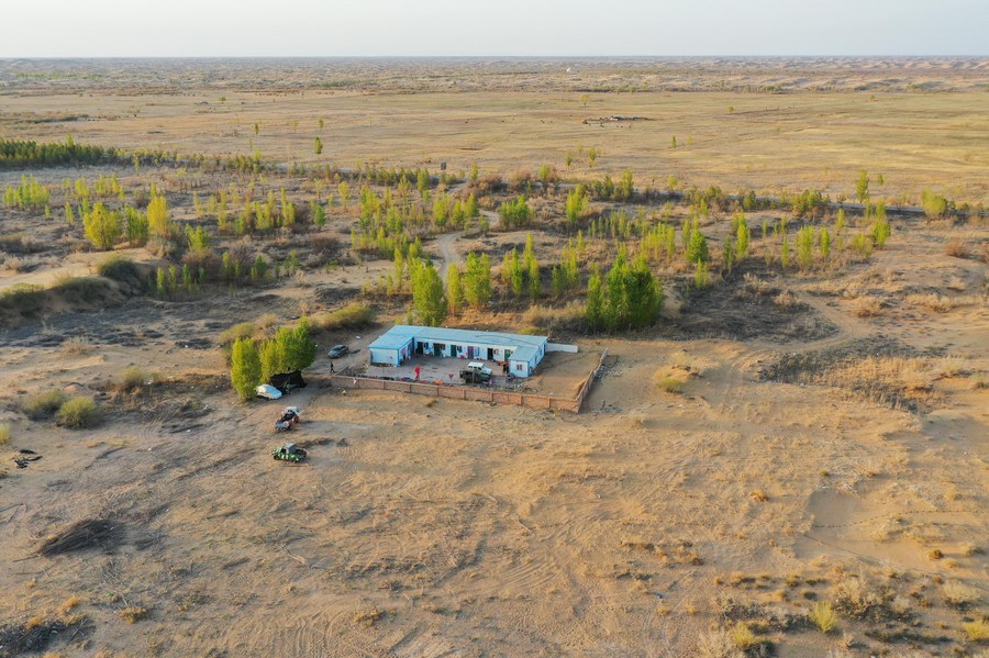 Mengintip aktivitas para pekerja pengendalian pasir di Gurun Kubuqi di Mongolia Dalam, China-Image-2 Mengintip aktivitas para pekerja pengendalian pasir di Gurun Kubuqi di Mongolia Dalam, China-Image-2
