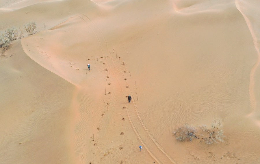 Mengintip aktivitas para pekerja pengendalian pasir di Gurun Kubuqi di Mongolia Dalam, China-Image-3 Mengintip aktivitas para pekerja pengendalian pasir di Gurun Kubuqi di Mongolia Dalam, China-Image-3