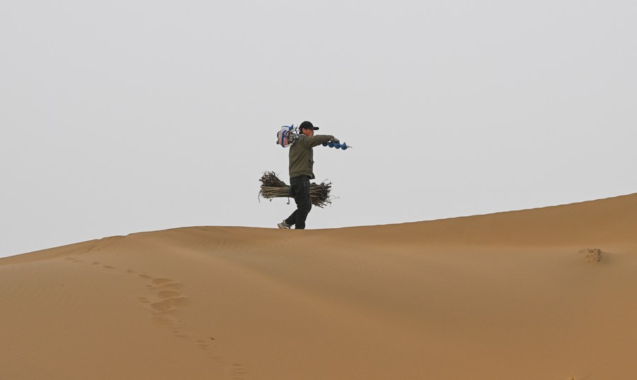 Mengintip aktivitas para pekerja pengendalian pasir di Gurun Kubuqi di Mongolia Dalam, China-Image-7 Mengintip aktivitas para pekerja pengendalian pasir di Gurun Kubuqi di Mongolia Dalam, China-Image-7