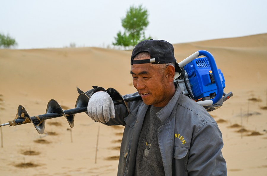 Mengintip aktivitas para pekerja pengendalian pasir di Gurun Kubuqi di Mongolia Dalam, China-Image-8 Mengintip aktivitas para pekerja pengendalian pasir di Gurun Kubuqi di Mongolia Dalam, China-Image-8