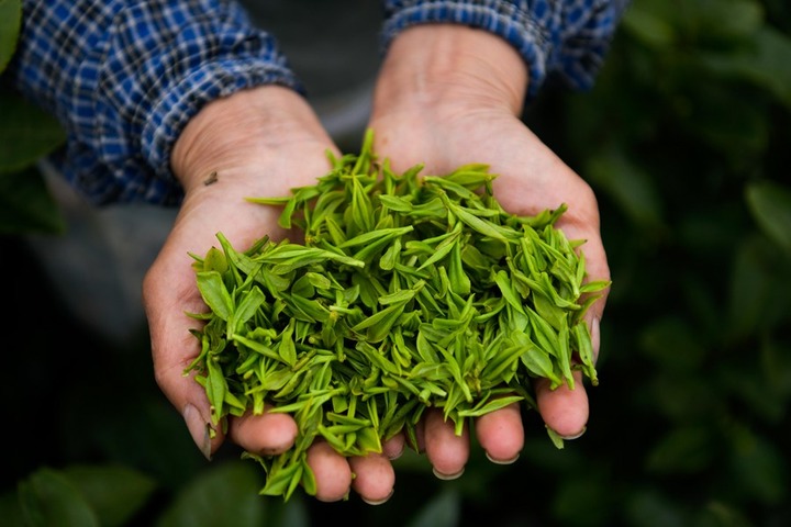 Perdagangan luar negeri produk pertanian China naik 11,5 persen pada Q1