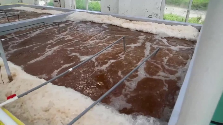 Menjelajahi peternakan ikan di Tianjin, China utara-Image-1