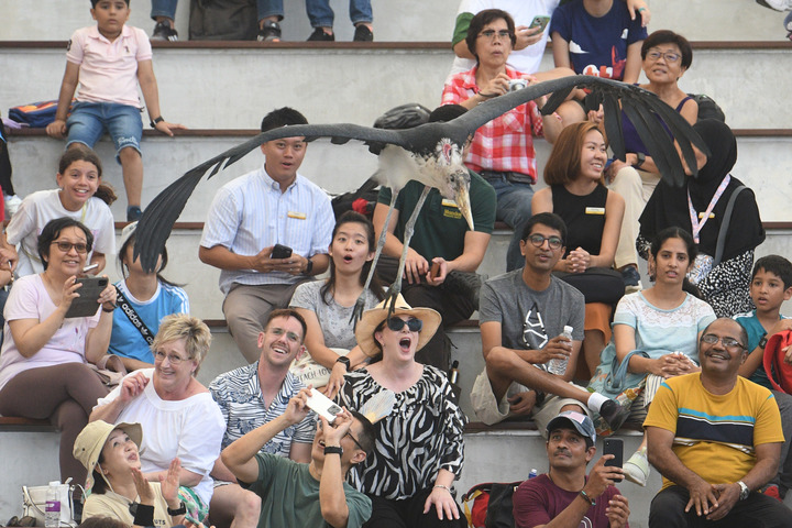 SINGAPURA-BIRD PARADISE-SOFT LAUNCH-1-Image-1