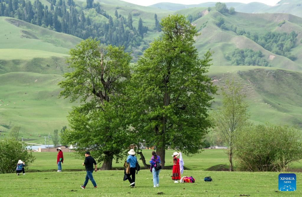 Padang Rumput Narat di Xinyuan Dikunjungi 87.000 Turis-Image-4