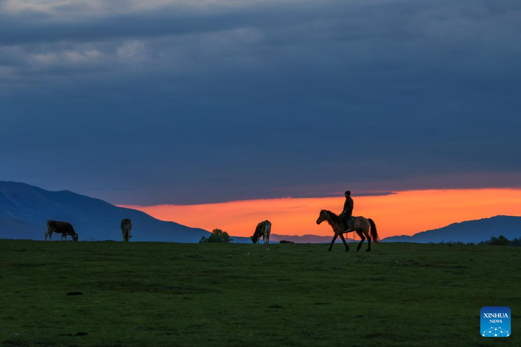 Padang Rumput Narat di Xinyuan Dikunjungi 87.000 Turis-Image-3
