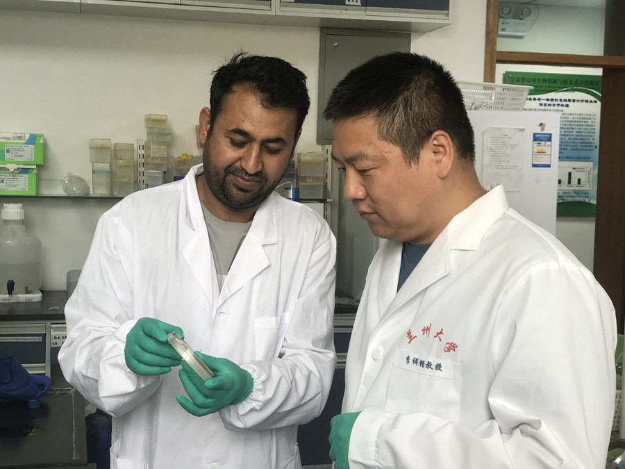 Peneliti dari China dan Pakistan Kembangkan Metode Baru untuk Obati Penyakit Celiac-Image-1