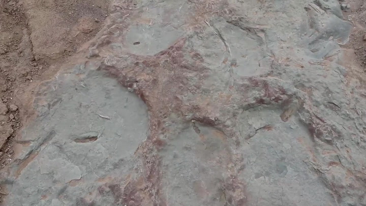 Fosil Jejak Kaki Dinosaurus Ditemukan di Mongolia Dalam-Image-1
