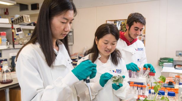 Shanghai Bangun 20 Pusat Penelitian Ilmiah-Image-1 Shanghai Bangun 20 Pusat Penelitian Ilmiah-Image-1