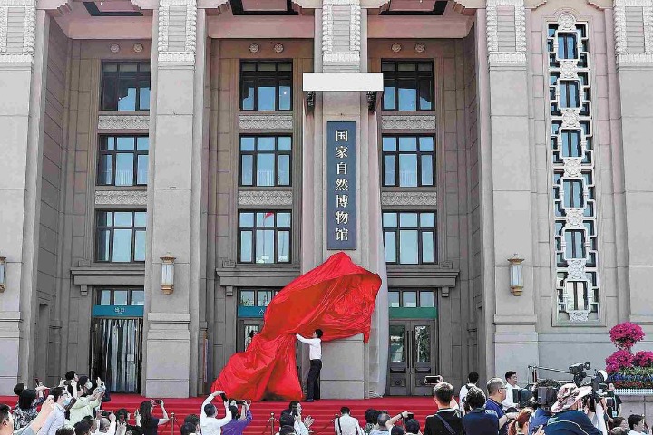 Pemandu Museum Sejarah Alam Beijing Anak Remaja-Image-1