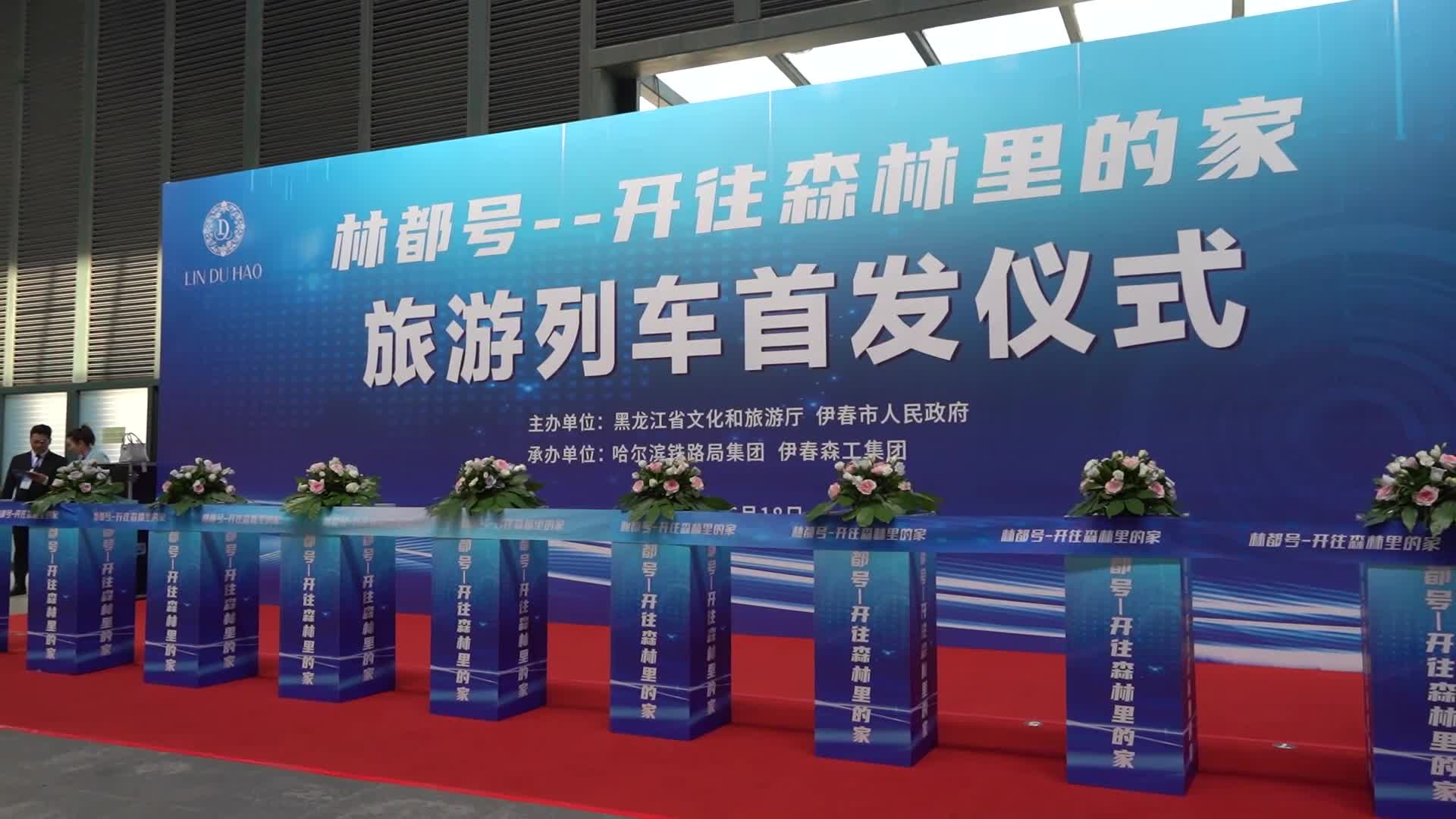 Layanan kereta wisata berkualitas tinggi jalani operasi uji coba di Heilongjiang, China-Image-1