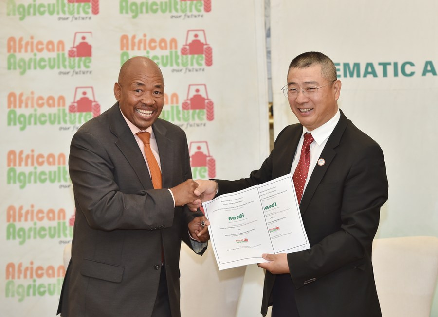 Botswana akan perkenalkan varietas padi tahan kekeringan baru untuk pertanian modern-Image-1