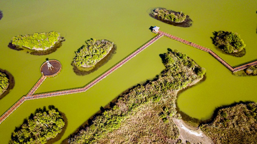 China Pertimbangkan Rencana Penetapan Hari Ekologi Nasional-Image-1