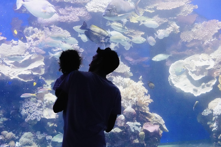 Pakar WHO: Tindakan mendesak diperlukan untuk cegah dampak perubahan iklim terhadap kesehatan-Image-1