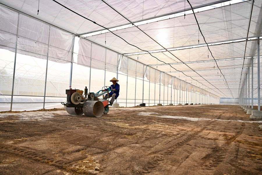 Bank Pembangunan China tingkatkan dukungan untuk lahan pertanian berstandar tinggi-Image-1