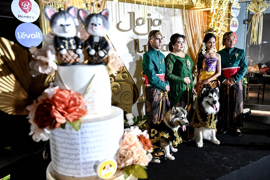 Album Asia: Mengintip pesta pernikahan unik untuk anjing di Jakarta-Image-3 Album Asia: Mengintip pesta pernikahan unik untuk anjing di Jakarta-Image-3