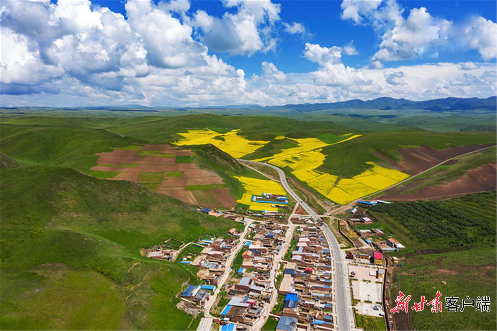 Petani di Desa Tayuanzhuang Sudah Gunakan Hidroponik-Image-1