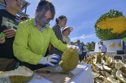 POTRET  Durian 6,91 Kilogram Dilelang 388 Ribu Yuan-Image-4