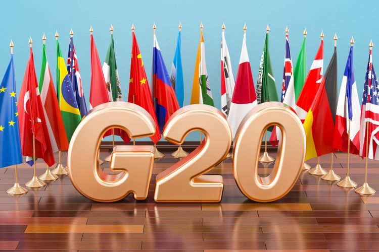 Calon Presiden COP28 Desak G20 Pimpin Perubahan Iklim-Image-1